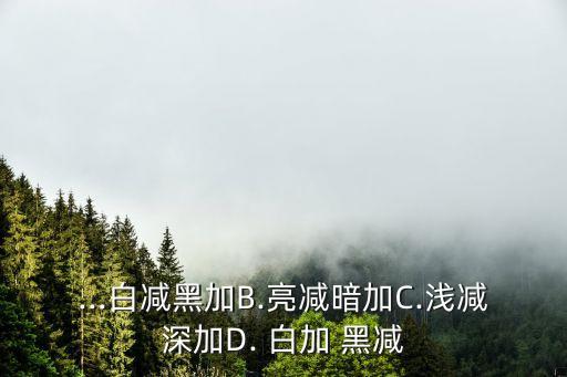 白加黑減,白加黑減