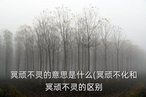 冥頑不靈的意思是什么(冥頑不化和 冥頑不靈的區(qū)別