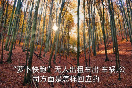 “蘿卜快跑”無人出租車出 車禍,公司方面是怎樣回應的