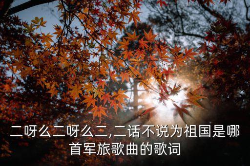 綠色軍營,我和媽媽逛軍營媽媽欣然同意