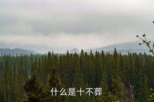 什么是十不葬