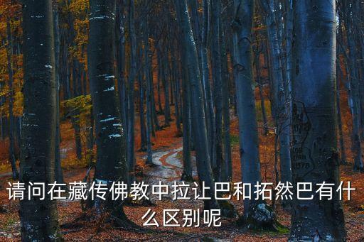 巴格西,僧人學習藏醫獲格西學位或醫學位