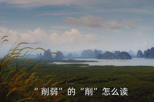 削弱,切字讀作xiao時可單獨使用