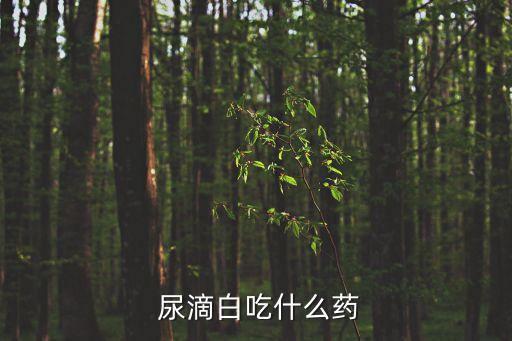  尿滴白吃什么藥