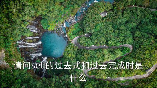 請問sell的過去式和過去完成時是什么