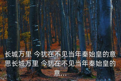 萬里長城今猶在,萬里長城今猶在，當年沒見到秦始皇