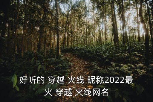 穿越火線昵稱,點(diǎn)擊查詢按鈕出現(xiàn)零錢昵稱道具