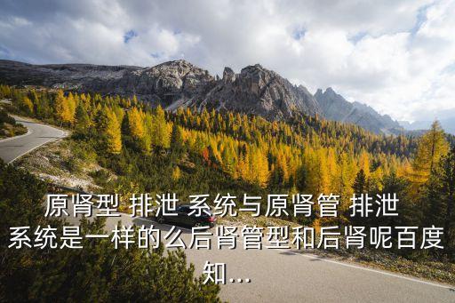 原腎型 排泄 系統與原腎管 排泄 系統是一樣的么后腎管型和后腎呢百度知...