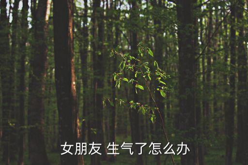  女朋友 生氣了怎么辦