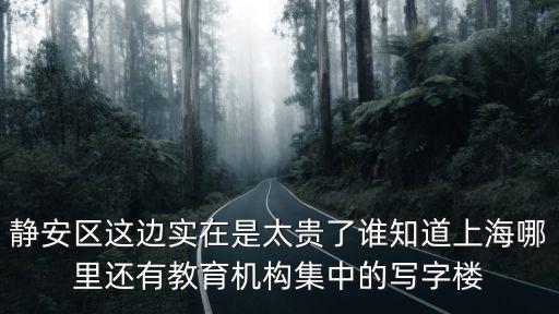 靜安區(qū)這邊實(shí)在是太貴了誰(shuí)知道上海哪里還有教育機(jī)構(gòu)集中的寫(xiě)字樓