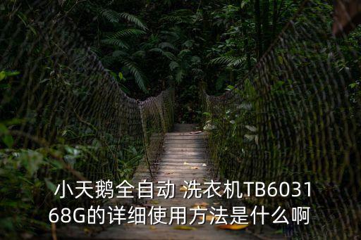  小天鵝全自動 洗衣機TB603168G的詳細使用方法是什么啊