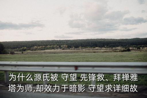 為什么源氏被 守望 先鋒救、拜禪雅塔為師,卻效力于暗影 守望求詳細(xì)故