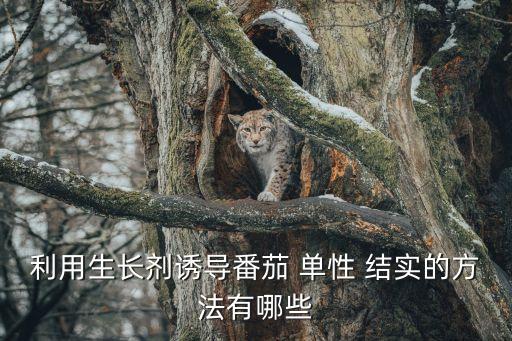 單性結實,有些植物結實需要在特定環境條件下進行