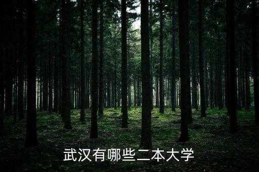 武漢有哪些二本大學