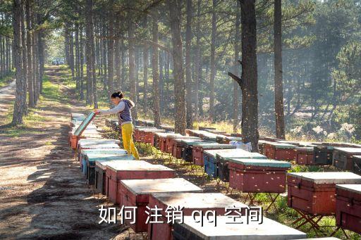 qq空間注銷申請,如何注銷qq空間?