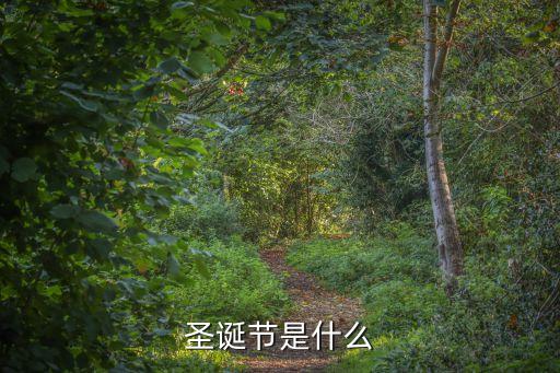 chrismas,圣誕節彌撒是一種教堂儀式