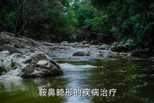 鞍鼻,簡單鞍鼻:鼻梁不明顯塌陷鼻唇角接近90°