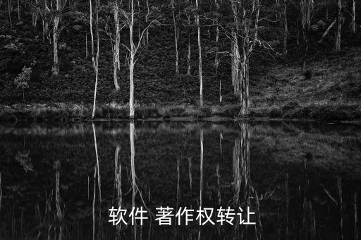  軟件 著作權轉讓