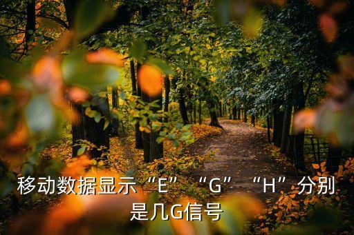 移動數據顯示“E”“G”“H”分別是幾G信號