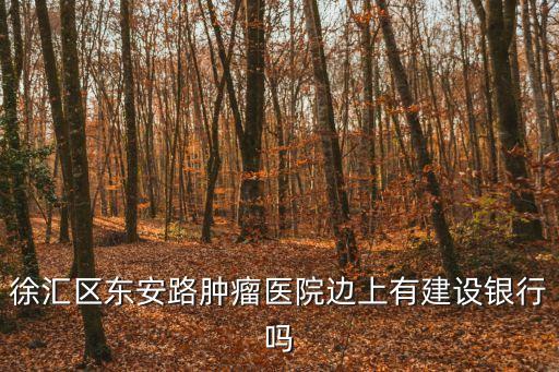 徐匯區東安路腫瘤醫院邊上有建設銀行嗎