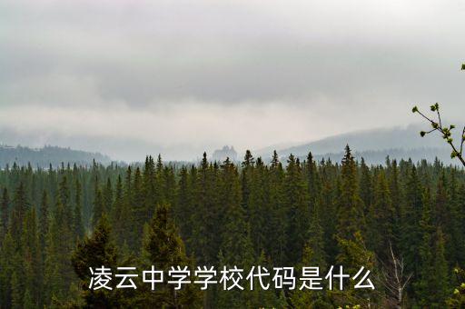 凌云中學學校代碼是什么