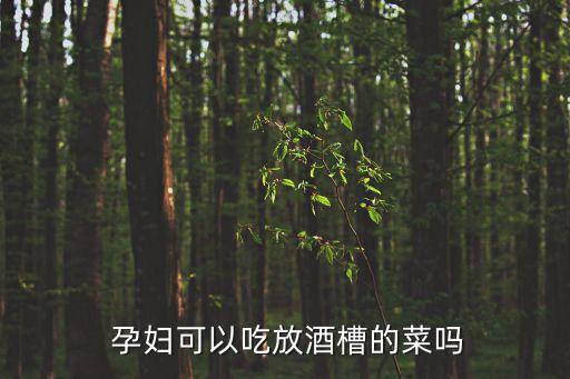  孕婦可以吃放酒槽的菜嗎