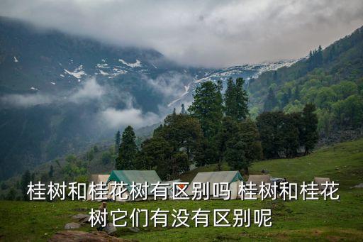 桂樹,桂樹與桂花樹不同:桂樹是常綠闊葉樹
