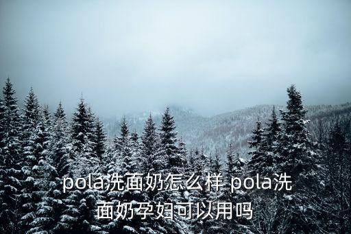 pola,關于pola洗面奶你必須知道的東西