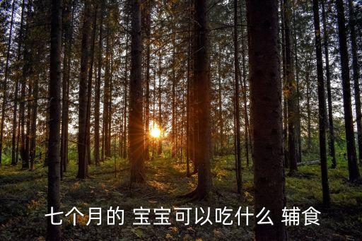  七個月的 寶寶可以吃什么 輔食