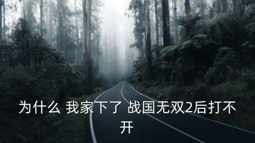 為什么 我家下了 戰國無雙2后打不開