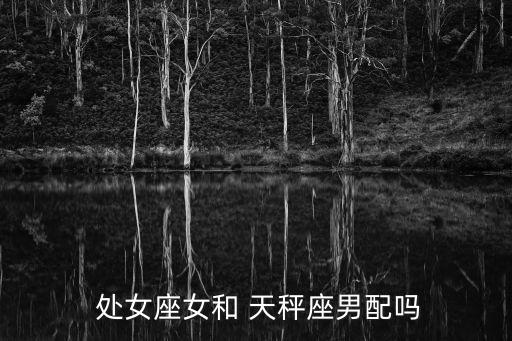 天秤男處女女,天秤和處女座位有很多相似之處