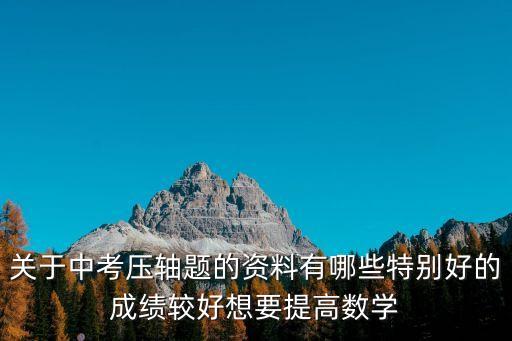 關于中考壓軸題的資料有哪些特別好的成績較好想要提高數學