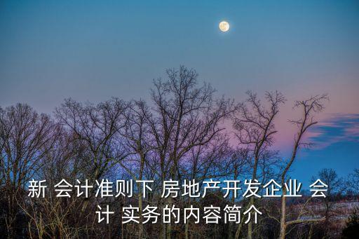 新 會計準則下 房地產開發企業 會計 實務的內容簡介
