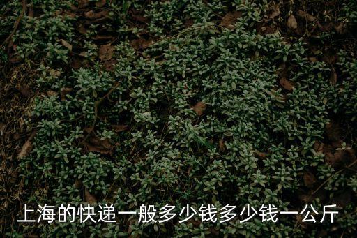 上海的快遞一般多少錢多少錢一公斤