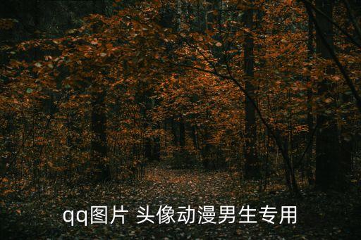 男頭像漫畫,男生動(dòng)漫qq頭像帥圖欣賞