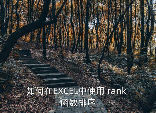 如何在EXCEL中使用 rank 函數排序