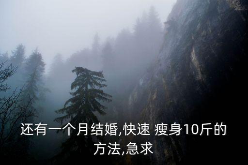 新娘瘦身,新娘籌備婚禮的心路歷程