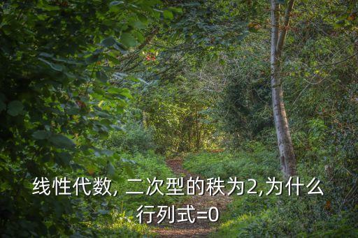 線性代數, 二次型的秩為2,為什么行列式=0