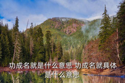 功成名就的意思,成功、名譽和財富等成語的用法有何不同?