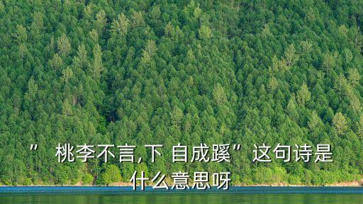 ” 桃李不言,下 自成蹊”這句詩是什么意思呀