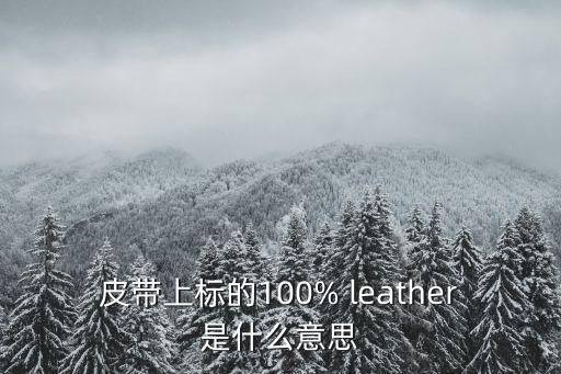 皮帶上標的100% leather是什么意思