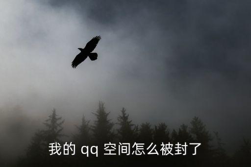 我的 qq 空間怎么被封了