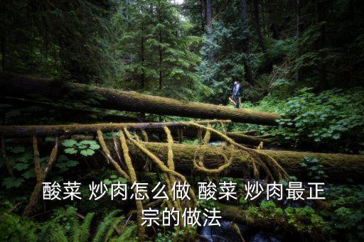  酸菜 炒肉怎么做 酸菜 炒肉最正宗的做法