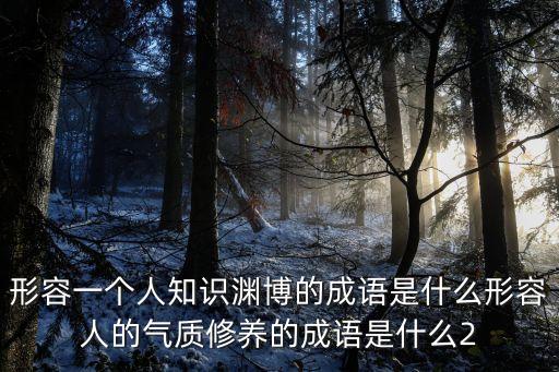 形容一個(gè)人知識淵博的成語是什么形容人的氣質(zhì)修養(yǎng)的成語是什么2