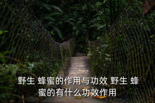  野生 蜂蜜的作用與功效 野生 蜂蜜的有什么功效作用