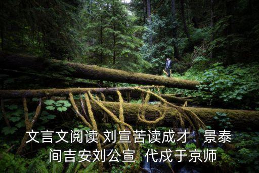 文言文閱讀 劉宣苦讀成才   景泰  間吉安劉公宣  代戍于京師