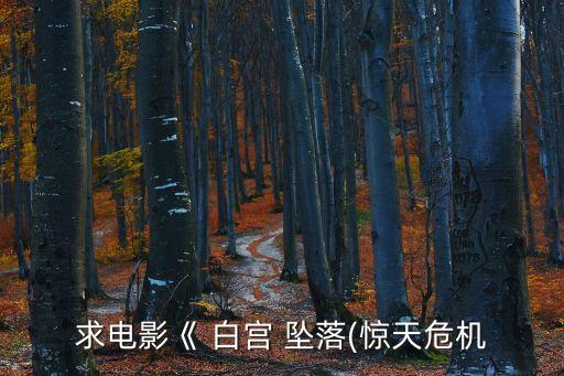 白宮墜落,羅蘭·默里奇再推出動作驚悚片白宮-0/