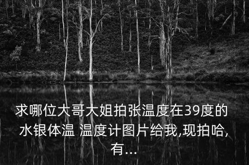 水銀溫度計圖片,水下溫度計你怎么看?