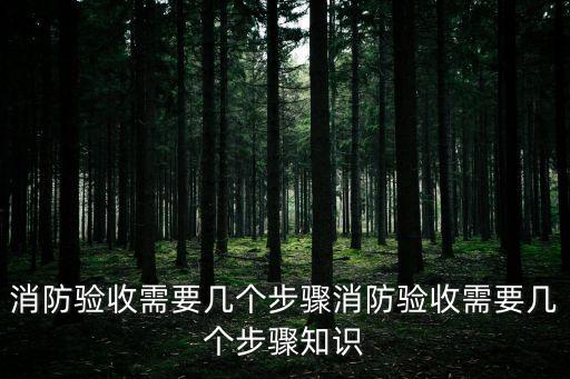 消防驗收需要幾個步驟消防驗收需要幾個步驟知識