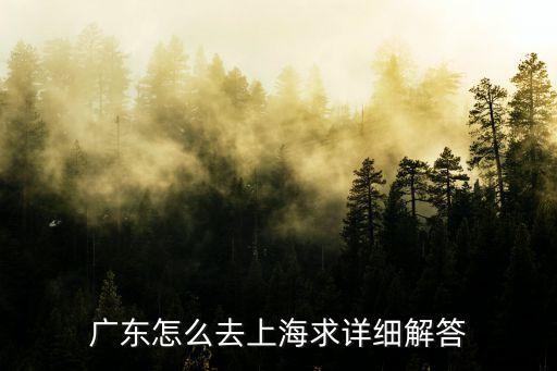 粵港澳大灣區廣東省上海市，廣東怎么去上海求詳細解答